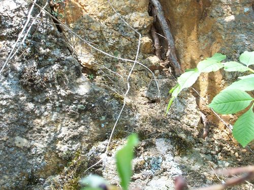 Fissures dans le granite