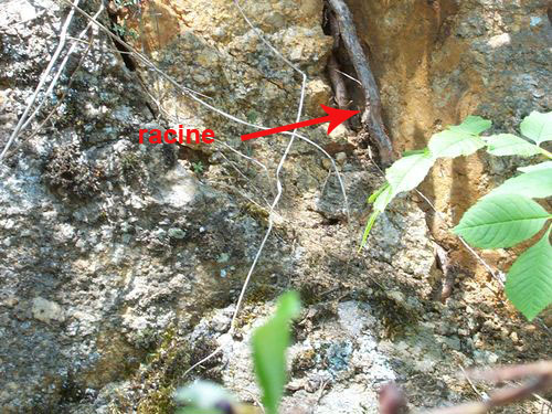 Fissures dans le granite légendé