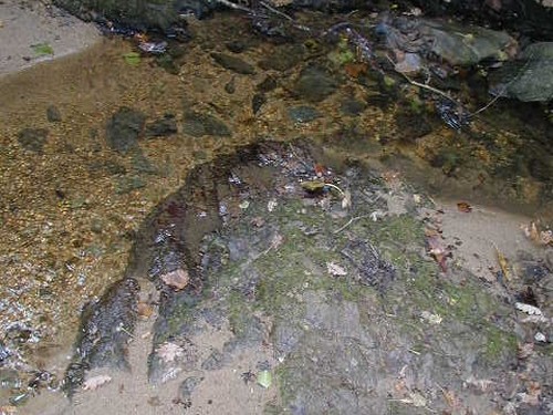 Dépôt fond du ruisseau