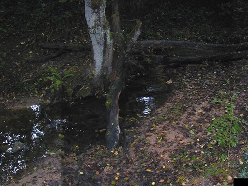 Ruisseau Désertines