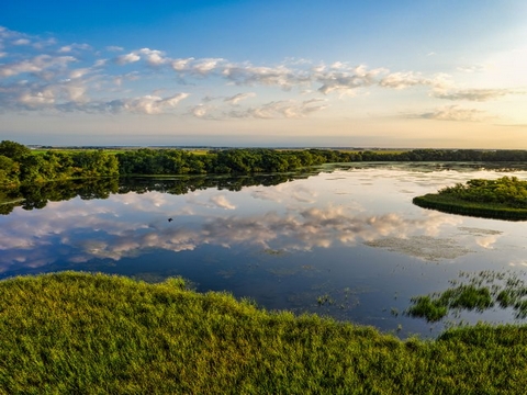 lac