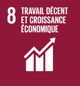 les objectifs de développement durable visés.